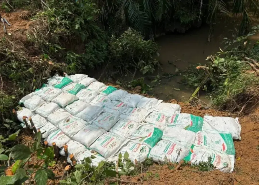 Jaga Gambut Basah dan Cegah Karhutla, 9 Desa di Jambi Bangun 25 Sekat Kanal