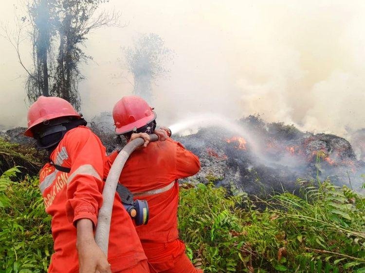 Menhut Kawal Langsung Operasi di Tanjung Puting hingga Sampit, 61 Armada Udara Disiagakan