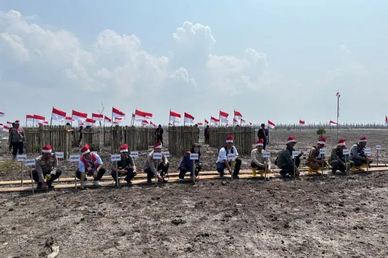 M4CR dan Polda Riau Tanam Mangrove di Kuala Selat untuk Tahan Abrasi